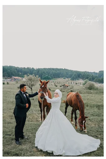 Alyans Fotoğrafçılık Doğa